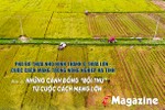 Phá bờ thửa nhỏ hình thành ô thửa lớn - cuộc cách mạng trong nông nghiệp Hà Tĩnh