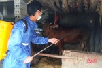 Đoàn viên thanh niên Hà Tĩnh ra quân giúp người dân phòng trừ dịch bệnh cho gia súc