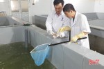 Quản lý chất lượng con giống - đảm bảo vụ tôm xuân hè tại Hà Tĩnh thắng lợi