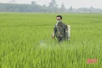 Chủ tịch UBND tỉnh Hà Tĩnh chỉ đạo phòng trừ bệnh đạo ôn cổ bông hại lúa