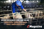 Dịch bệnh trên gia súc và “lá chắn” trong chăn nuôi (bài 3): “Chìa khóa” kiểm soát dịch, phát triển chăn nuôi