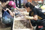 Thị trường thủy hải sản tại Hà Tĩnh đắt khách, giá tăng nhẹ