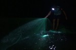 “Săn” cá trong đêm giữa lòng hồ Ngàn Trươi