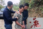 Hà Tĩnh: Bắt đối tượng tàng trữ ma túy, phát hiện súng, dao trong nhà