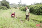 BQL Dự án NN&PTNT Hà Tĩnh “loay hoay” xử lý ruộng bị bồi lấp ở Đức Thọ