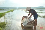 Nhiều diện tích cây trồng còn ngâm trong nước, nông dân Hà Tĩnh cùng nhau khắc phục