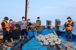 Bắt tàu giã cào của Quảng Ngãi khai thác hải sản sai vùng quy định ở Hà Tĩnh