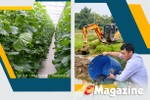 Đi tìm giá trị “lõi” cho nông nghiệp đô thị TP Hà Tĩnh (bài 2): “Bẻ lái” tư duy, phát triển nông nghiệp đô thị bền vững