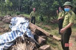Phát hiện thêm hơn 2m3 gỗ lậu trong nhà dân ở Hương Khê