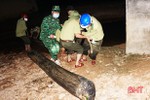 Phát hiện nhóm người dùng trâu kéo gỗ lậu trong đêm ở huyện miền núi Hà Tĩnh