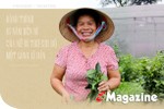 Hành trình 16 năm bền bỉ của nữ bí thư chi bộ một lòng vì dân ở Hà Tĩnh