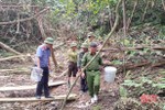 Khởi tố đối tượng hủy hoại 10.808 m2 rừng tự nhiên ở Hương Khê