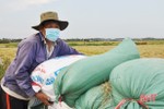 Giá lúa đầu vụ ở mức cao, nông dân Hà Tĩnh phấn khởi