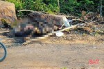 Hà Tĩnh: Phát hiện thi thể người đàn ông chết cháy trong nghĩa trang