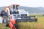 Nông dân Hà Tĩnh khắc phục khó khăn, khẩn trương thu hoạch lúa xuân
