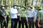 Chủ tịch UBND tỉnh Hà Tĩnh: Phải luôn chủ động “4 tại chỗ” trong phòng cháy, chữa cháy rừng