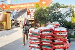Cung ứng gần 650 tấn phân bón trả chậm hỗ trợ nông dân Hà Tĩnh sản xuất hè thu