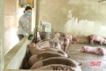 Nông dân Hà Tĩnh chủ động phòng bệnh cho đàn vật nuôi trong mùa nắng