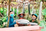 Xem nông dân Hà Tĩnh tiếp sức cho công tác phòng, chống Covid-19