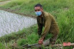 Vượt khó, nông dân Hà Tĩnh nỗ lực hoàn thành gieo cấy vụ hè thu