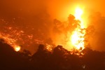 Hà Tĩnh cảnh báo cháy rừng, nhiều nơi cực kỳ nguy hiểm