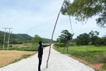 Cột điện đổ nghiêng bên đường ở xã miền núi huyện Đức Thọ