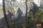 Trẻ em đốt tổ ong gây cháy 1 ha rừng ở Can Lộc