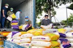 MTTQ Hà Tĩnh tiếp nhận, phân bổ 30 tấn gạo hỗ trợ phòng, chống dịch