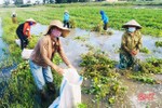 Những người “tiếp lửa” cho phong trào phụ nữ thôn ở Lộc Hà