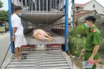 Hà Tĩnh: Phát hiện xe ô tô vận chuyển lợn chết đi giết mổ