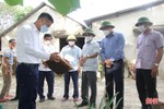 Lãnh đạo Hà Tĩnh kiểm tra, khảo sát các hợp tác xã tại Hương Sơn