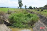 Kênh chính xuống cấp, hàng trăm ha đất lúa hè thu ở Lộc Hà bị ảnh hưởng