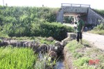 Hệ thống kênh tưới gần 200ha đất nông nghiệp ở xã miền núi Hà Tĩnh xuống cấp nặng