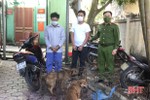 Hà Tĩnh: Công an Can Lộc bắt nhóm trộm chó liên huyện