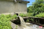 Điều tiết nước tối đa phục vụ lúa hè thu ở Hà Tĩnh trổ bông thuận lợi