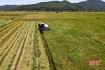 Tích cực hỗ trợ nông dân vùng cách ly y tế TX Hồng Lĩnh thu hoạch lúa hè thu