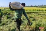 Tuổi trẻ Công an Cẩm Xuyên giúp dân gặt lúa sau khi đổi ca trực chốt