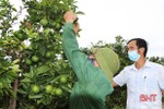 Chi hội trưởng nông dân “tiếp sức” xóa đói giảm nghèo ở huyện miền núi Hà Tĩnh