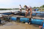 Người nuôi trồng thủy sản ở Hà Tĩnh gia cố ao nuôi ứng phó bão số 5