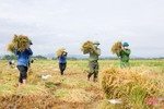 Cán bộ, chiến sỹ LLVT Hà Tĩnh giúp dân gặt lúa “chạy bão”