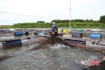 Gia cố bè nuôi, đưa cá "vượt sông" tránh mưa bão ở TX Kỳ Anh