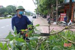 TP Hà Tĩnh cắt tỉa cây xanh, nạo vét hệ thống thoát nước khi vào mùa mưa bão