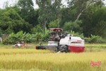 Hà Tĩnh đã thu hoạch 85% diện tích lúa hè thu