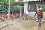 Nông dân Hà Tĩnh chủ động phòng bệnh cho vật nuôi thời điểm giao mùa