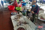 “Chim trời” vẫn bán đầy chợ dân sinh ở Hà Tĩnh