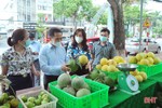 Nhiều giải pháp trong tiêu thụ nông sản cho nông dân Hà Tĩnh