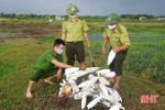 Hà Tĩnh: Tịch thu, tiêu hủy hơn 67 nghìn dụng cụ săn bắt chim trời