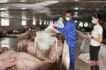 Giá lợn hơi giảm sâu, người chăn nuôi ở Hà Tĩnh thua lỗ