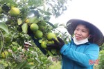 Nữ Chi hội trưởng nông dân ở Vũ Quang làm ăn giỏi, nhiệt tình với công tác hội
