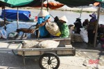 Vựa ngao Lộc Hà tranh thủ xuất bán khi thị trường dần “rã đông”
